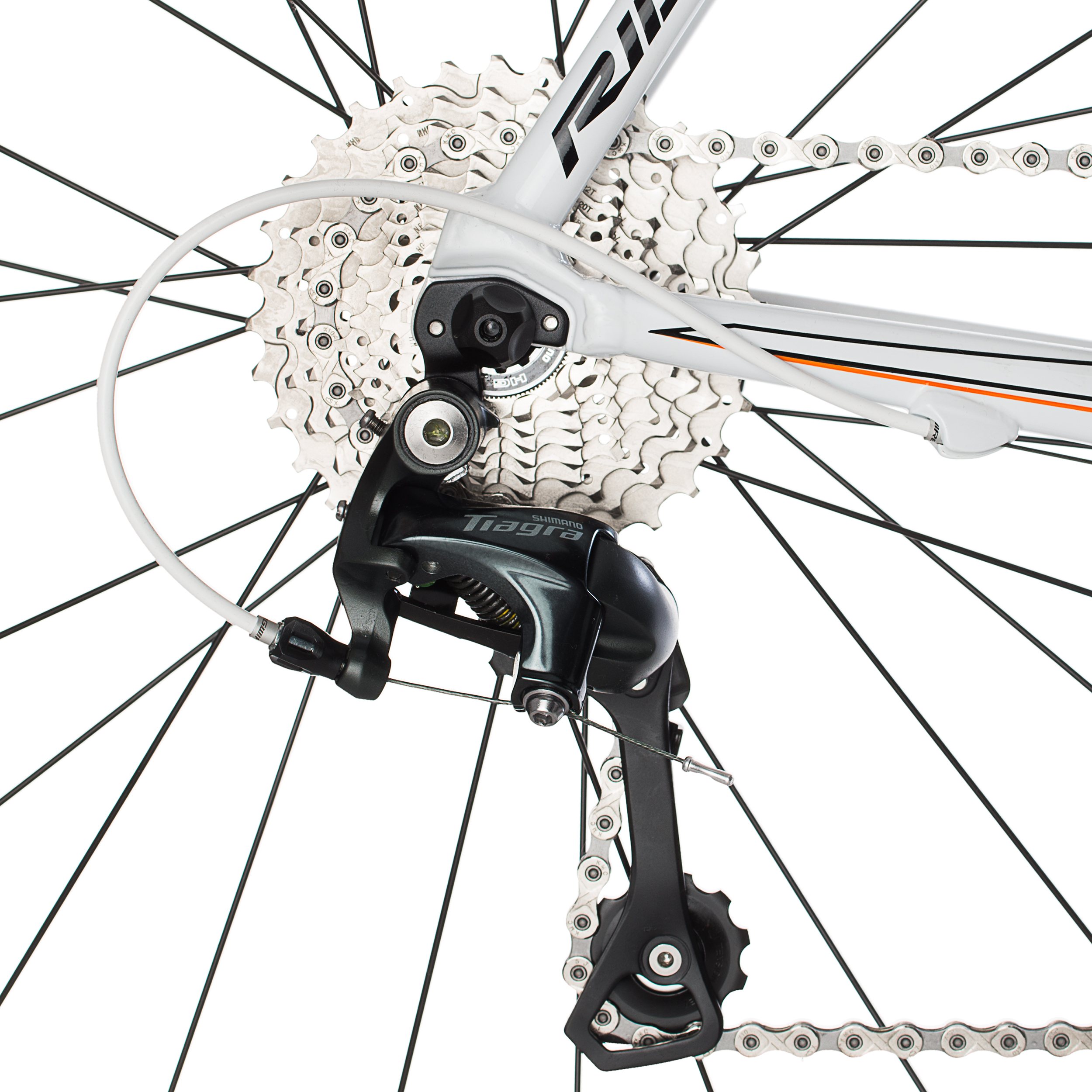 ridley a60