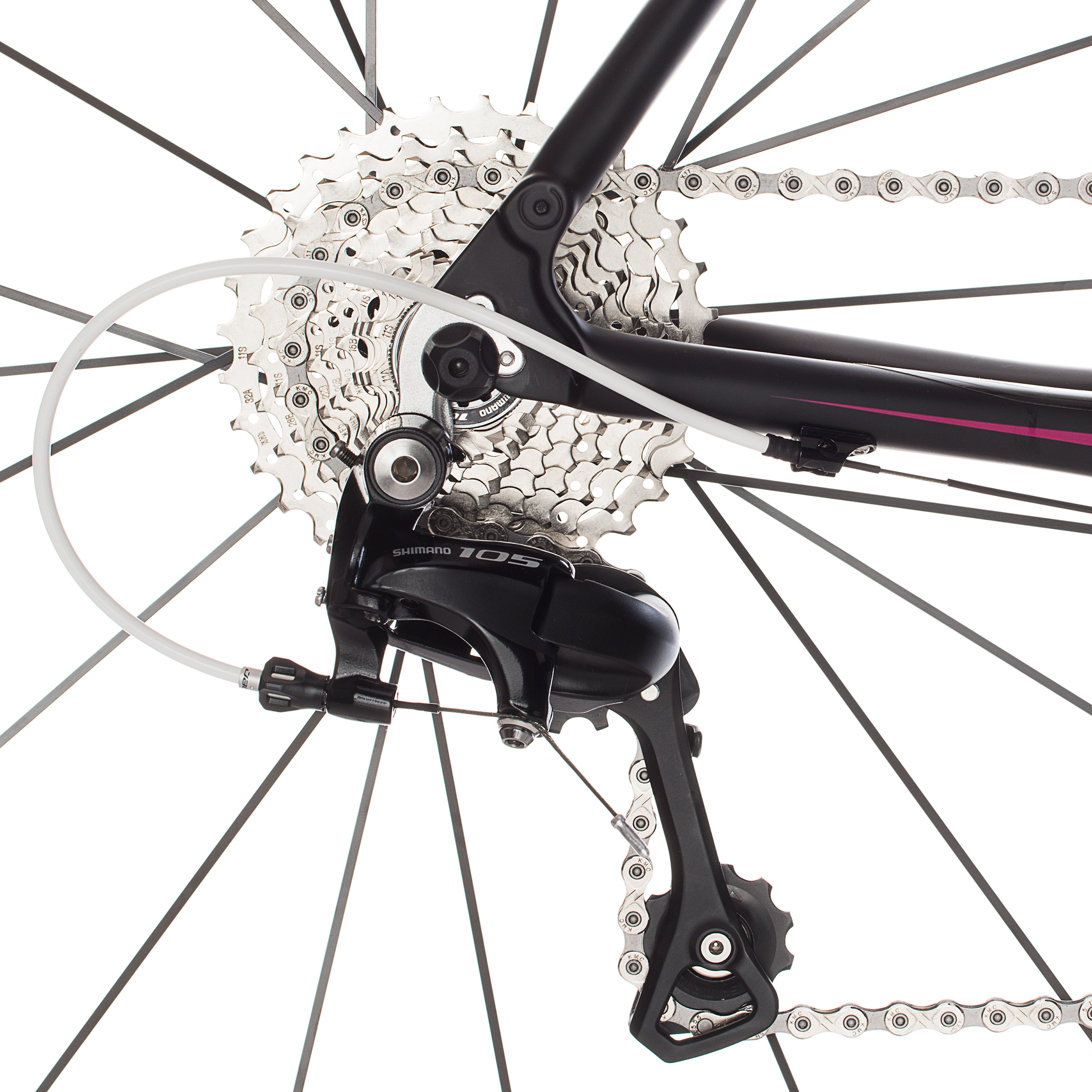 ridley liz c50