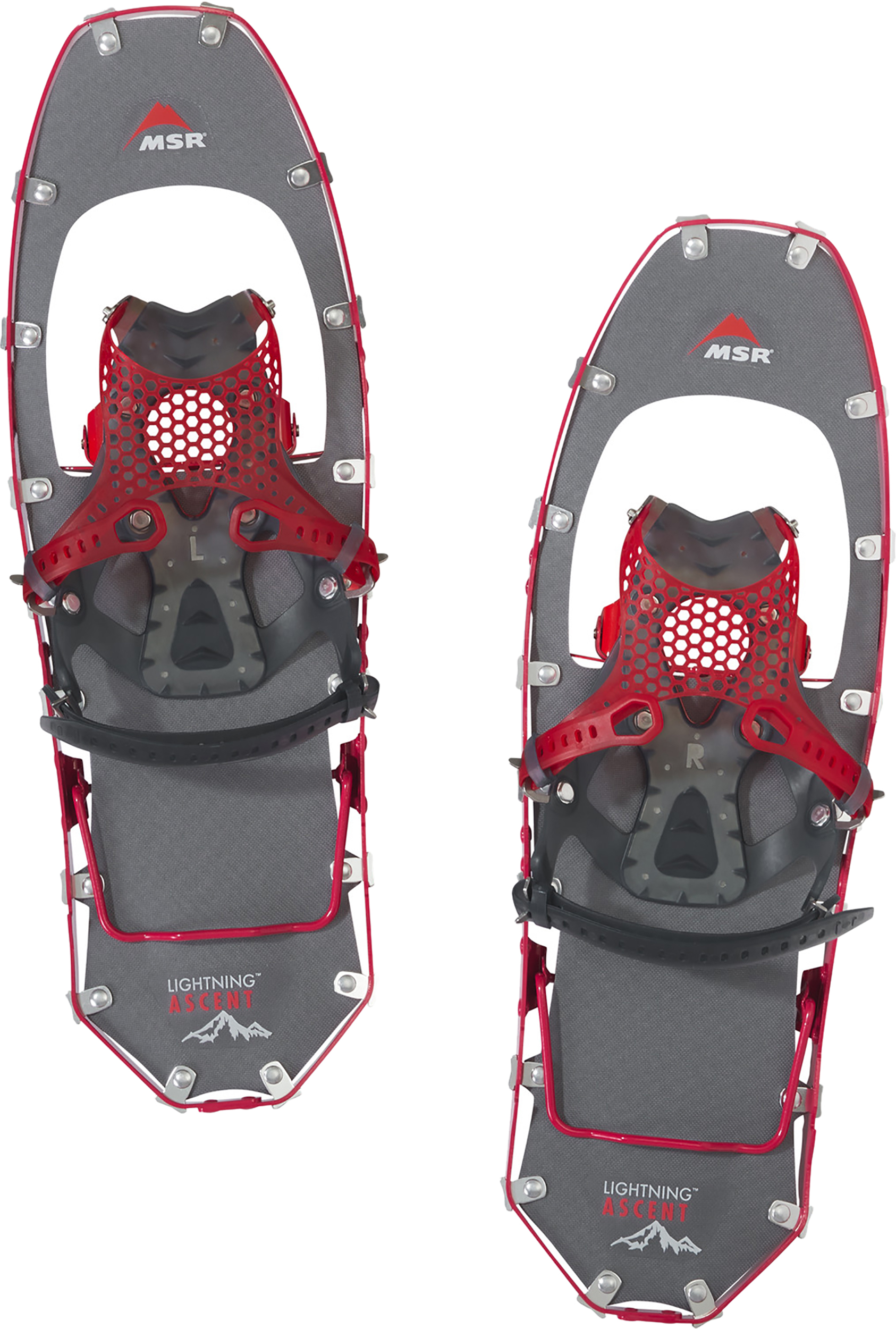 Raquette msr femme clearance