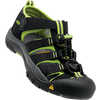 Sandales Newport H2 Noir/Vert lime