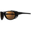 Lunettes de soleil Explorer 2 Noir mat/PolBrun caméléon
