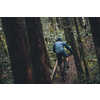 Short Highline Créatures forêt nuit noire