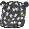 Tuque Teddy Cosmos
