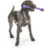 Jouet pour chien Zwig (35 cm) Aubergine