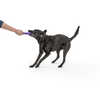 Jouet pour chien Zwig (35 cm) Aubergine