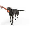 Jouet pour chien Zwig (35 cm) Melon
