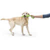 Jouet pour chien Zwig (35 cm) Vert jungle