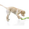 Jouet pour chien Zwig (35 cm) Vert jungle