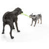 Jouet pour chien Zwig (35 cm) Vert jungle