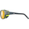 Lunettes de soleil Explorer 2 Gris mat/Vert/Zèbre 2-4 SHR