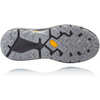 Chaussures course sentier imperméables Speedgoat 3 Bruine noire
