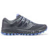 Chaussures de course sur sentier Peregrine ISO Argent sombre