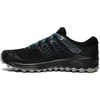 Chaussures de course sur sentier Peregrine ISO Noir/Gris