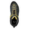 Chaussures de courte randonnée Alp Trainer Mid GTX Carbone/Reine-Claude