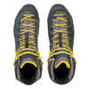 Chaussures de courte randonnée Alp Trainer Mid GTX Carbone/Reine-Claude