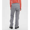 Pantalon Flash Cloud GORE-TEX Gris neutre