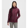 Manteau à capuchon Uplink Prune/Prune