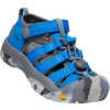 Sandales Newport H2 Sky Diver
