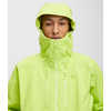 Manteau Synergy HD GORE-TEX Lichen